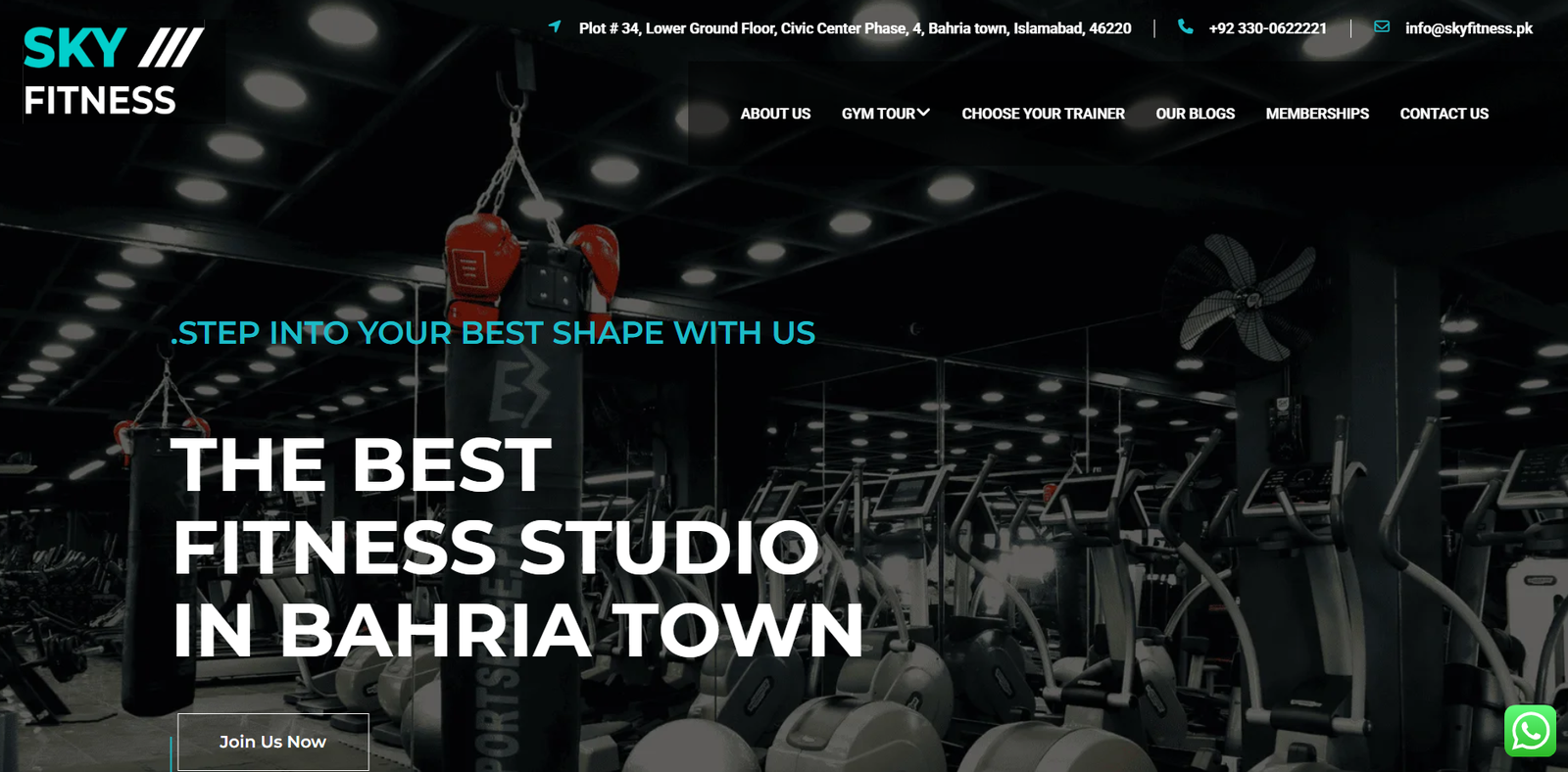 Website Project 4